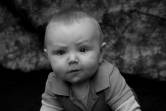 Enlarge photo 86