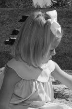 Enlarge photo 161
