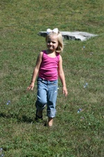 Enlarge photo 98