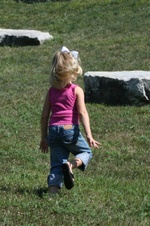 Enlarge photo 87