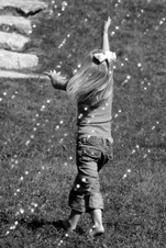 Enlarge photo 71