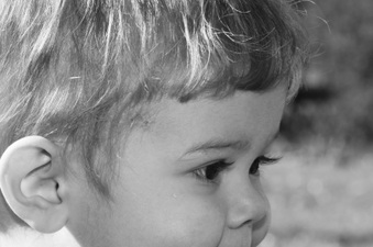 Enlarge photo 65