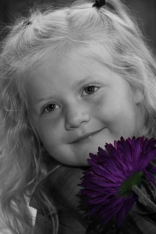 Enlarge photo 84