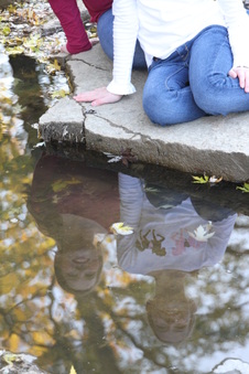 Enlarge photo 107