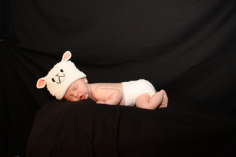 Enlarge photo 65
