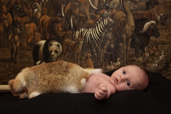 Enlarge photo 69