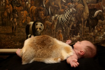 Enlarge photo 70