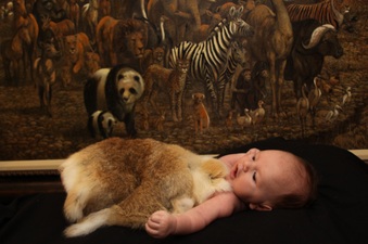 Enlarge photo 72