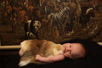 Enlarge photo 73