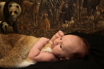 Enlarge photo 74