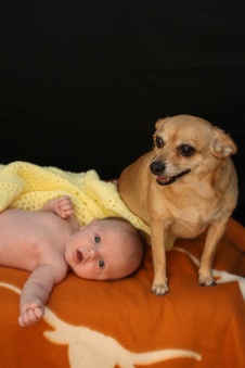 Enlarge photo 141