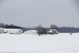 Enlarge photo 2
