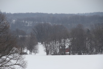 Enlarge photo 3