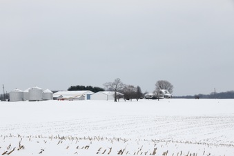 Enlarge photo 4