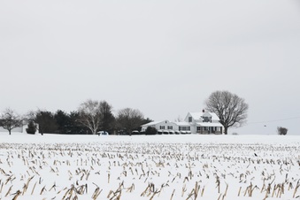 Enlarge photo 6