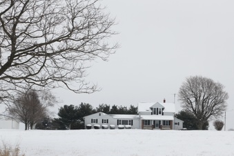 Enlarge photo 10