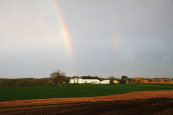 Enlarge photo 12