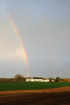 Enlarge photo 13