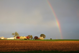 Enlarge photo 14