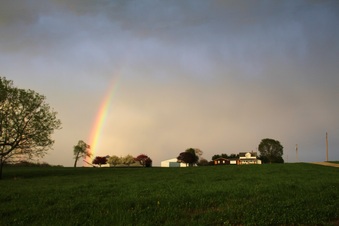 Enlarge photo 15