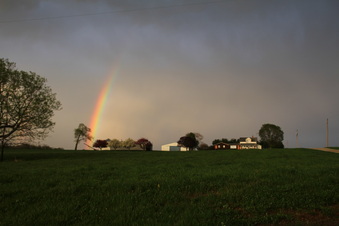 Enlarge photo 16