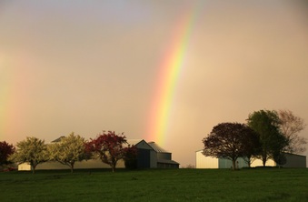 Enlarge photo 20