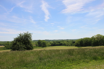 Enlarge photo 82