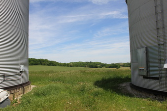 Enlarge photo 83