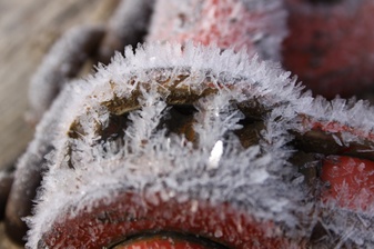Enlarge photo 15