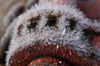 Enlarge photo 16