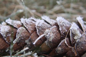 Enlarge photo 2