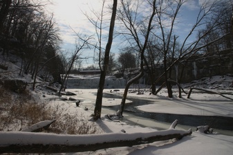 Frozen Falls