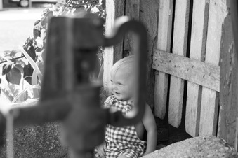 Enlarge photo 93
