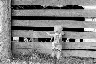 Enlarge photo 338