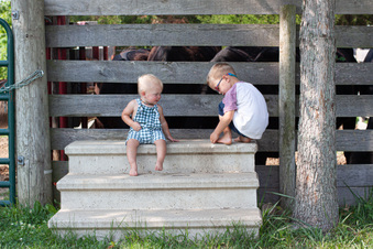 Enlarge photo 347