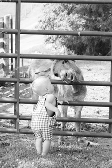Enlarge photo 367