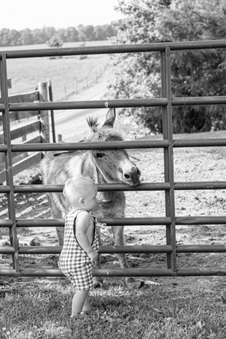 Enlarge photo 369
