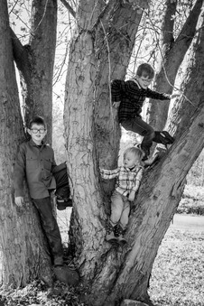 Enlarge photo 53
