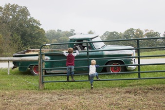 Enlarge photo 182