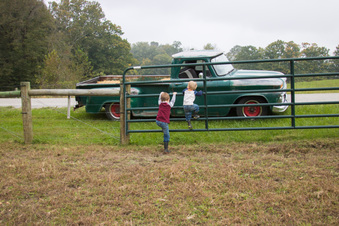 Enlarge photo 181