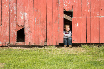 Enlarge photo 95