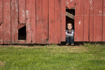 Enlarge photo 94