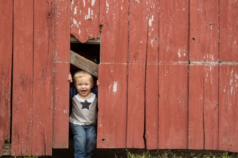 Enlarge photo 92