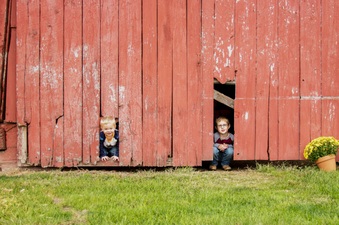 Enlarge photo 79