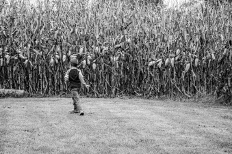 Enlarge photo 74