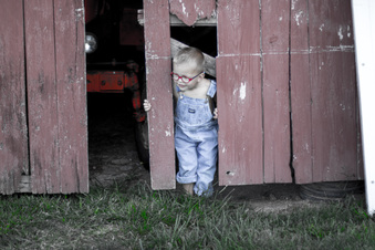 Enlarge photo 37