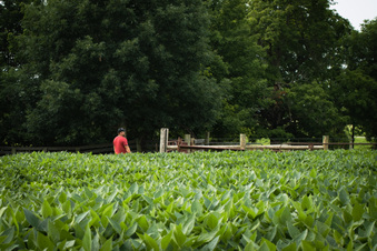 Enlarge photo 49