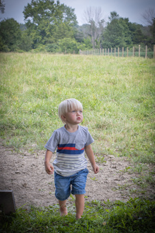 Enlarge photo 152