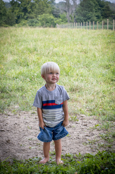 Enlarge photo 154