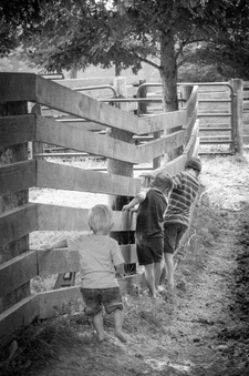 Enlarge photo 169
